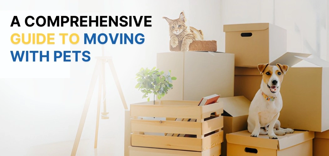 a-comprehensive-guide-to-moving-with-pets